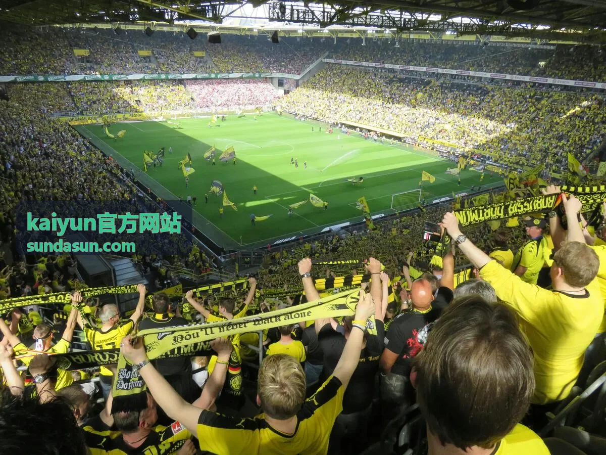 kaiyun官方网站近期平台更新内容